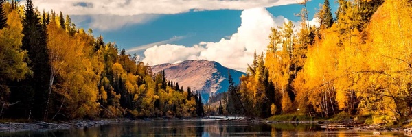 ‌م‌ُسلمانِ فارسی (مجید محمدی)‌'s header picture