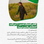 Profile picture of ‌محسن یعقوبیان‌