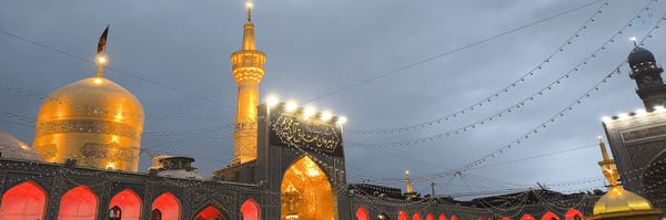 ‌مرتضی حسینی‌'s header picture