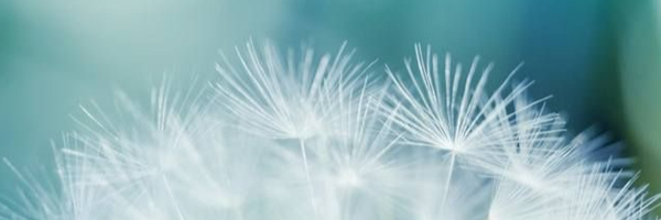 ‌n.n sss‌'s header picture