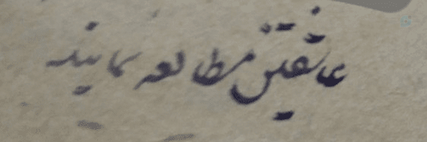 ‌محمد‌'s header picture