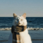 Profile picture of ‌𝑴𝒓. 𝑷𝒆𝒓𝒔-²⁴²⁷‌