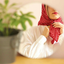 Profile picture of ‌𝙰𝚂𝙰𝙻‌