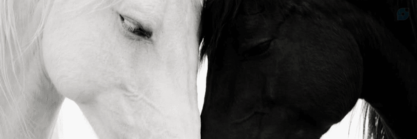 ‌ندا مصدق‌'s header picture