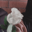 Profile picture of ‌ل م‌
