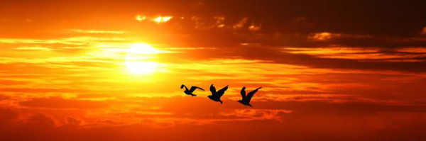‌خـســـرو‌'s header picture