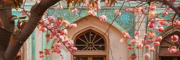 ‌علی ملائی‌'s header picture