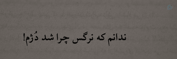 ‌Narges.Rishsefidi‌'s header picture