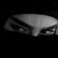 Profile picture of ‌𝕯𝖗.тαRα☫🎒🚩‌
