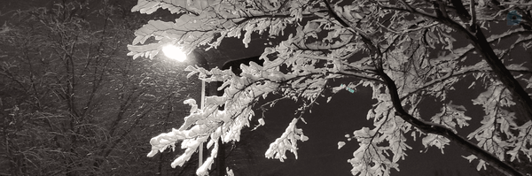 ‌مهسا عباسیان‌'s header picture