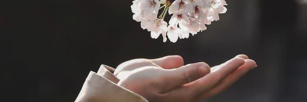 ‌طوبی‌'s header picture