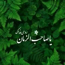 Profile picture of ‌وفا‌