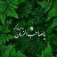 Profile picture of ‌وفا‌