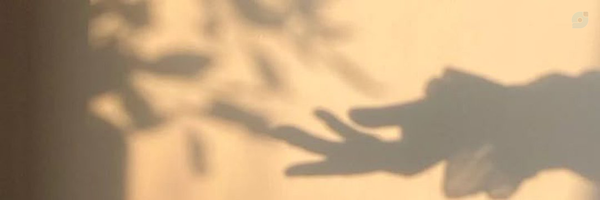 ‌شــکوفــه گـــیلــاس‌'s header picture