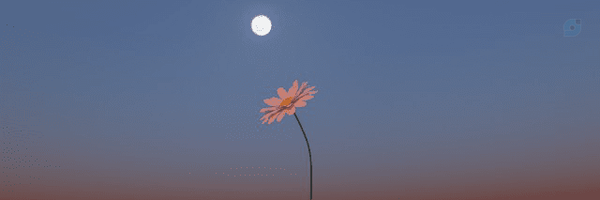 ‌صراط مستقیم‌'s header picture