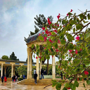 Profile picture of ‌بنیامین غیور‌