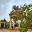 Profile picture of ‌بنیامین غیور‌