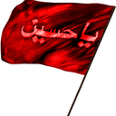 Profile picture of ‌Saeed J‌
