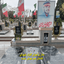 Profile picture of ‌مجتبی احمدی‌