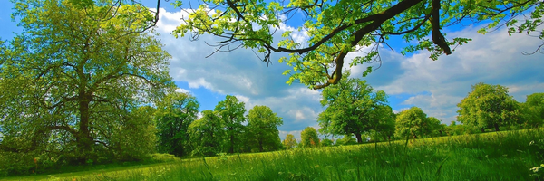 ‌رضا فرج پور‌'s header picture