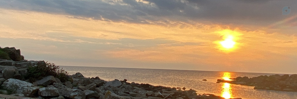 ‌Sanaz T‌'s header picture