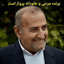Profile picture of ‌احمد یزدانی‌