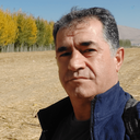 Profile picture of ‌محمدرضا جعفری‌