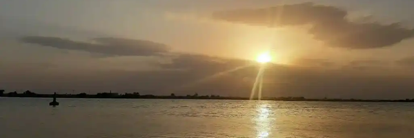 ‌مهدی‌'s header picture