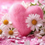 Profile picture of ‌ممم ...‌