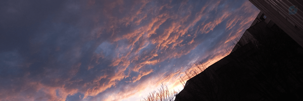 ‌𝑨𝒍𝒊 𝑫𝒂𝒗𝒖𝒐𝒅𝒊‌'s header picture