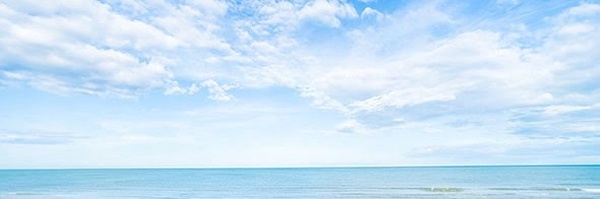 ‌Motahare‌'s header picture