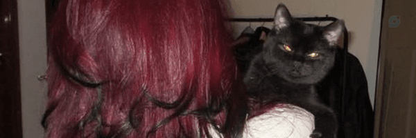 ‌woo's 🐈‍⬛‌'s header picture