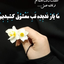 Profile picture of ‌گمنام نرجس‌