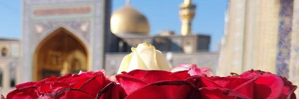 ‌دختر حاج قاسم🇮🇷‌'s header picture