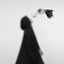Profile picture of ‌خانمِ آقای آدم‌