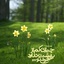 Profile picture of ‌Sarbaze_seyedAli‌