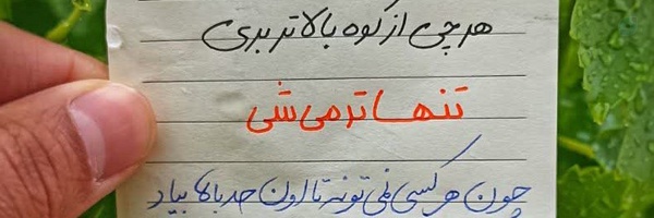 ‌زهرا نیک زاد‌'s header picture