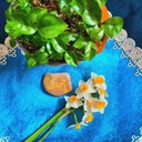 Profile picture of ‌سرباز آگاهی‌