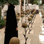 Profile picture of ‌صبا‌