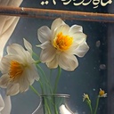 Profile picture of ‌یاسین‌