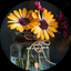 Profile picture of ‌Somaye .a89‌