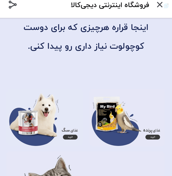 پتیسم مافیای پت