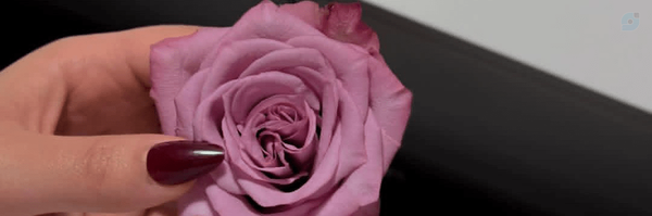 ‌𝙛𝙖𝙯𝙞𝙞‌'s header picture
