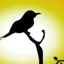 Profile picture of ‌Javad A‌