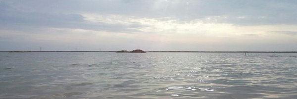 ‌یاسین دخت‌'s header picture