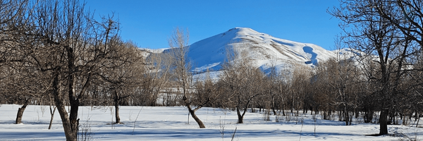 ‌سید امان‌الله میرزائی‌'s header picture