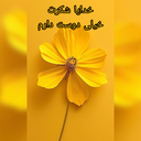 Profile picture of ‌محمد کریمیان‌