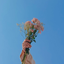 Profile picture of ‌شمعک-‌