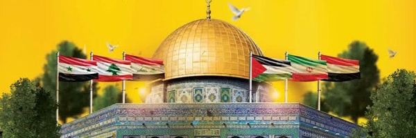 ‌سیدمحمد حسن علوی‌'s header picture
