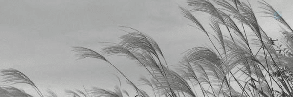 ‌Astoria Green grass‌'s header picture